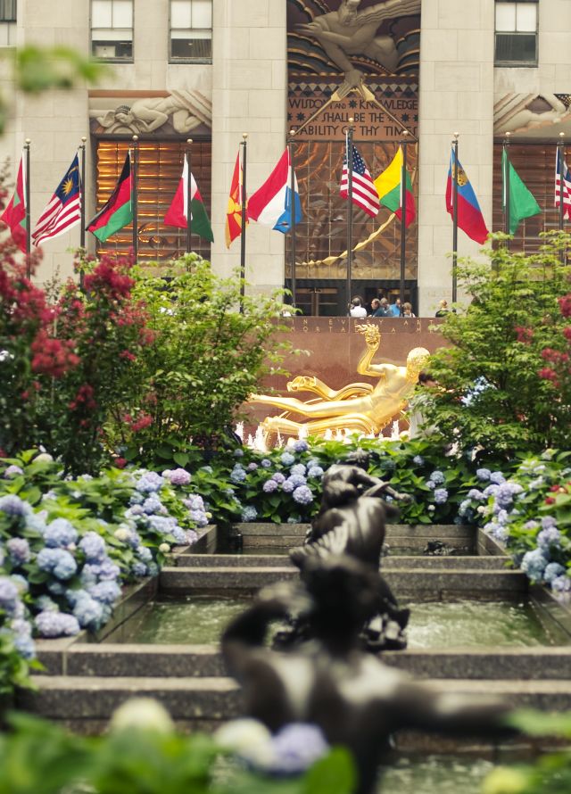 Things To Do New York Hilton Midtown